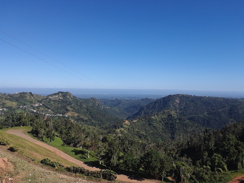 Photo 6 at Toro Verde Adventure Park in Orocovis