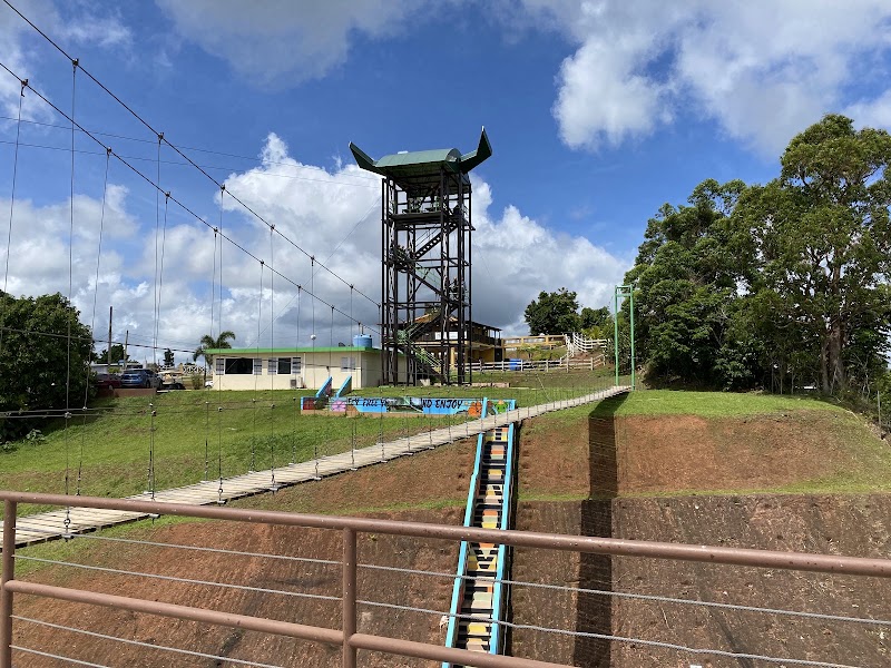 Photo 4 at Toro Verde Adventure Park in Orocovis