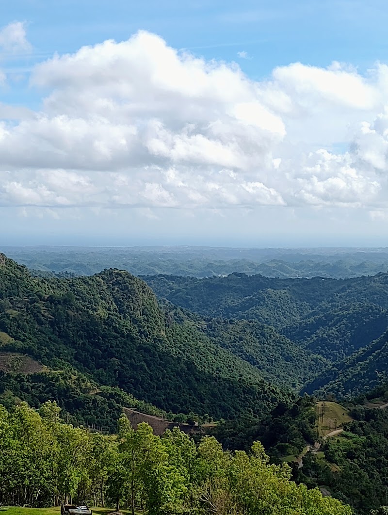 Photo 3 at Toro Verde Adventure Park in Orocovis