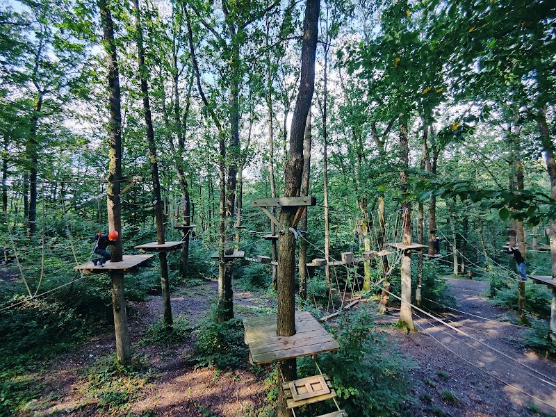 Photo 4 at Adventure Valley Durbuy in Durbuy