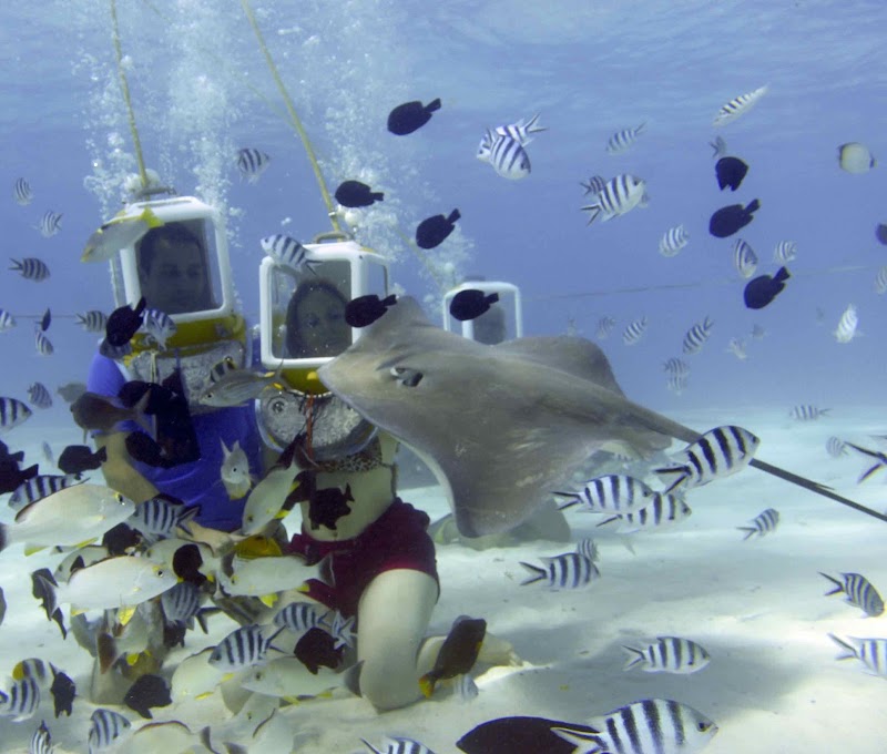 Aqua Safari Under water walk in 