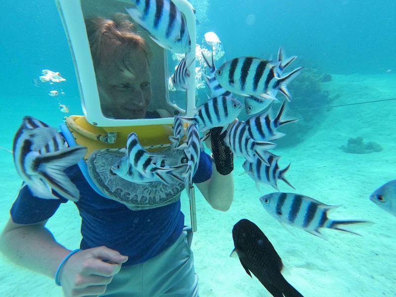 Photo 4 at Aqua Safari Under water walk in 