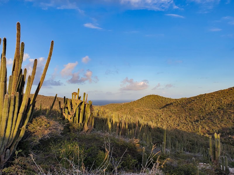 Photo 2 at Arikok National Park in Santa Cruz
