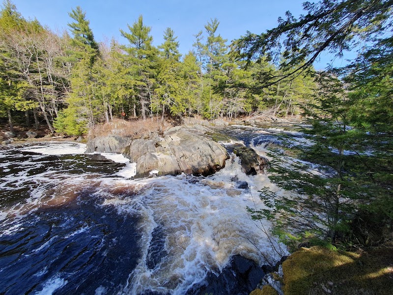 Photo 6 at Kejimkujik National Park and National Historic Site in Maitland Bridge