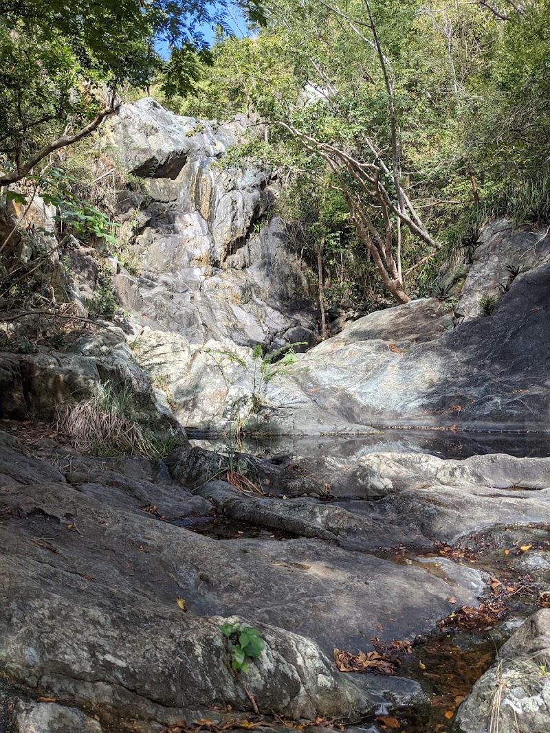 Photo 1 at Reef Bay Petroglyphs in 