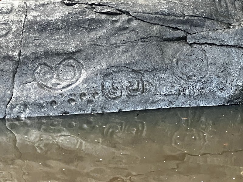 Reef Bay Petroglyphs in 
