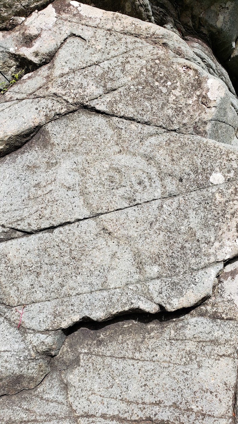 Photo 2 at Reef Bay Petroglyphs in 
