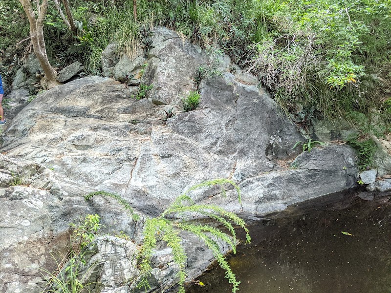 Photo 5 at Reef Bay Petroglyphs in 