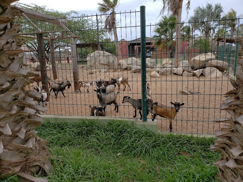Photo 4 at Philip's Animal Garden in Noord