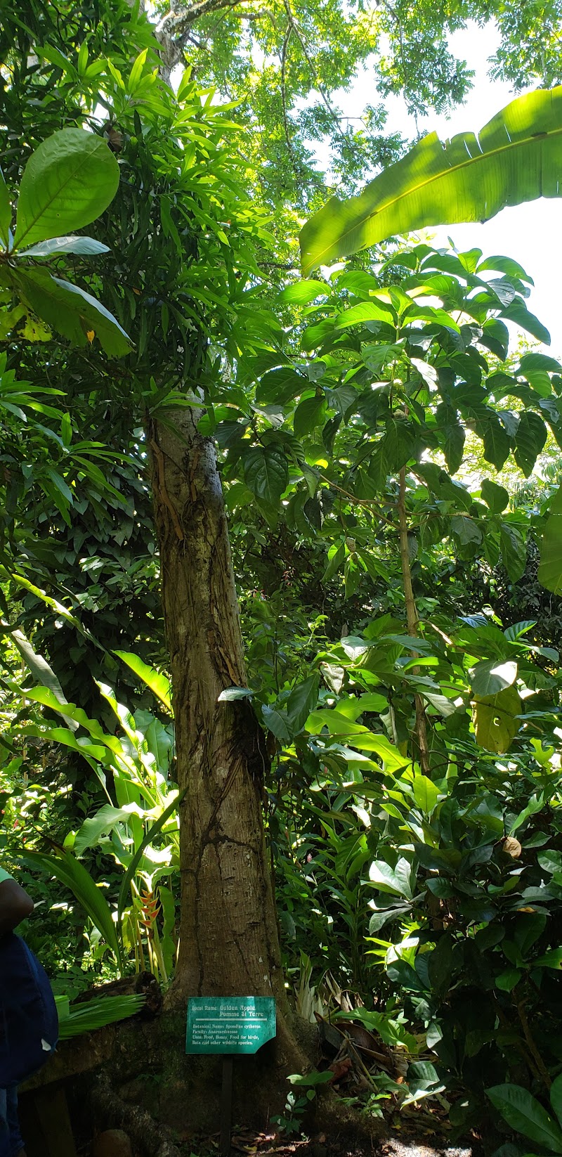 Photo 4 at Lushan Country Life in Castries