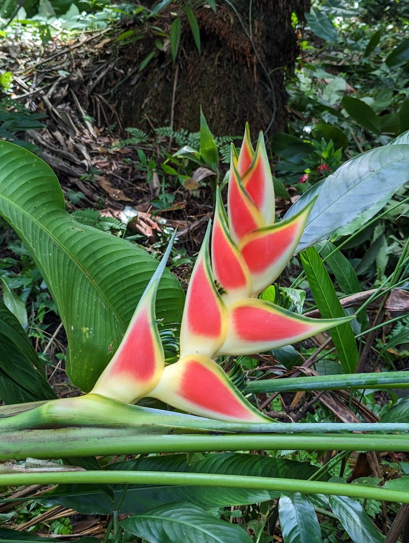 Photo 1 at Lushan Country Life in Castries
