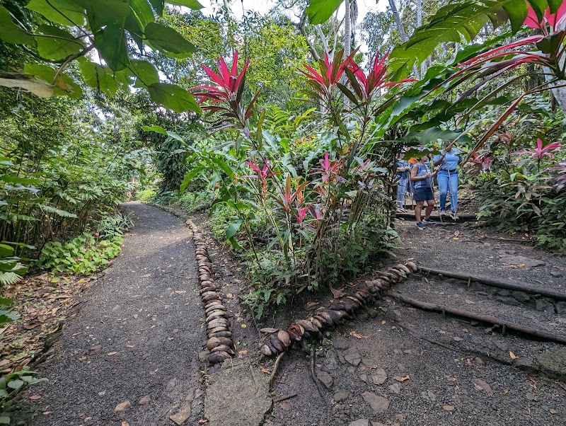 Photo 5 at Lushan Country Life in Castries