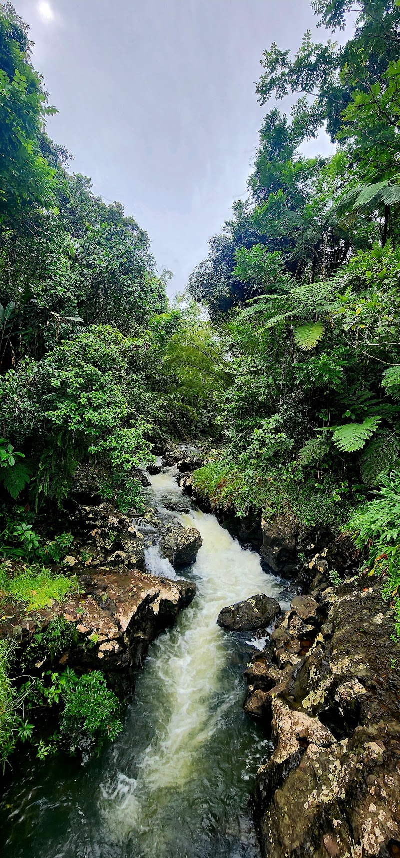 Photo 1 at Waterfall rest stop in 