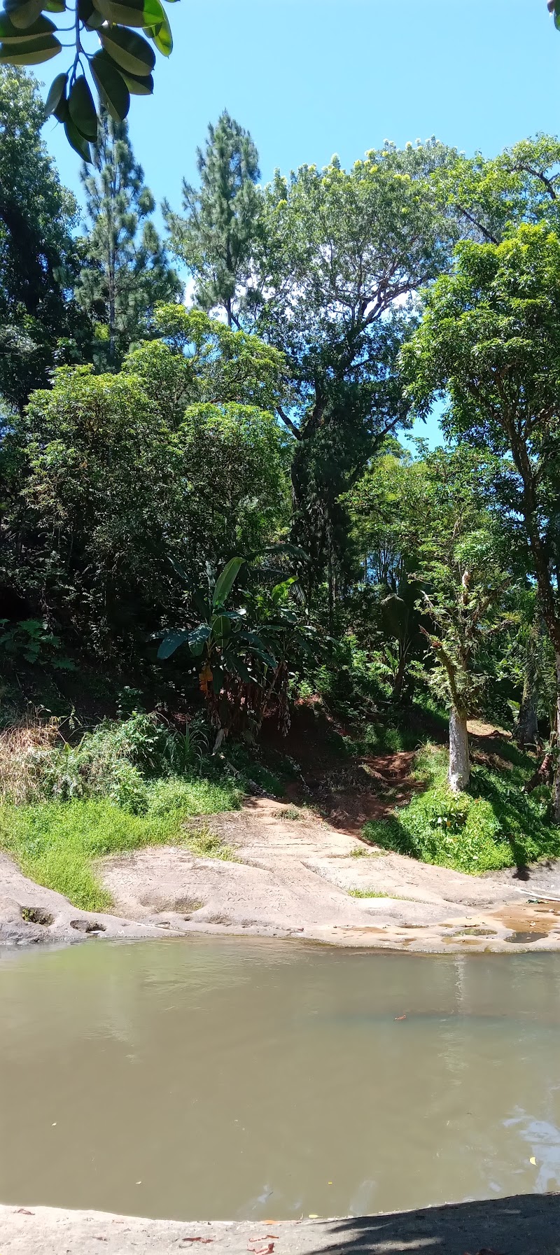 Photo 6 at Waterfall rest stop in 