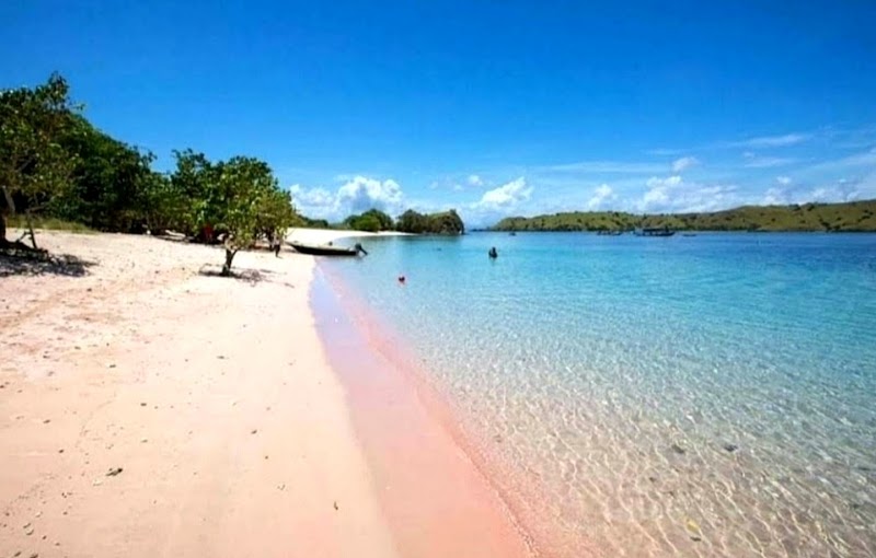Photo 2 at Pink Sand Beach in Codrington