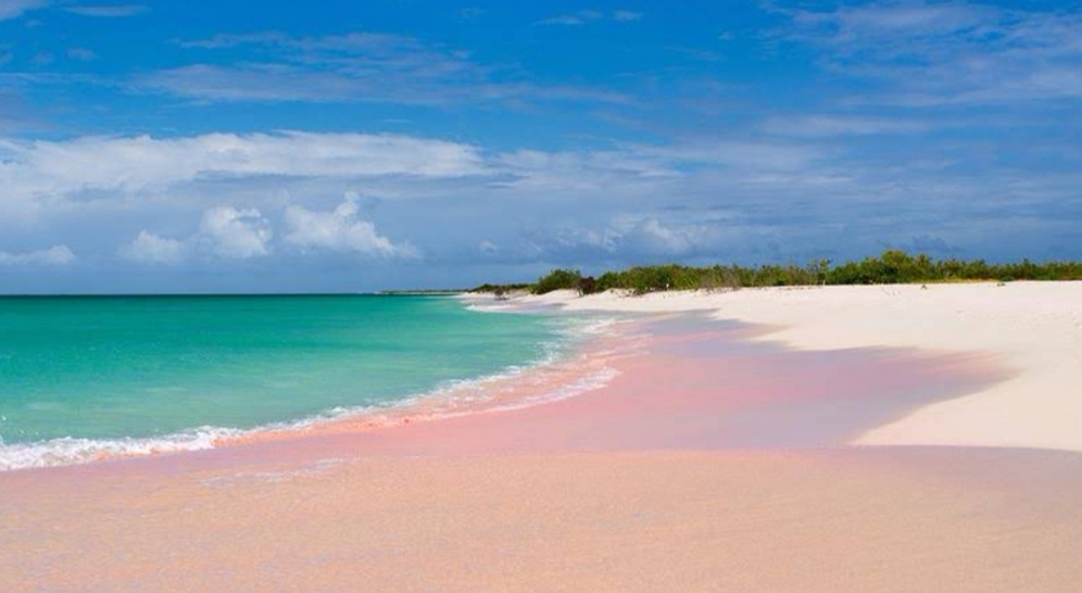 Pink Sand Beach in Codrington