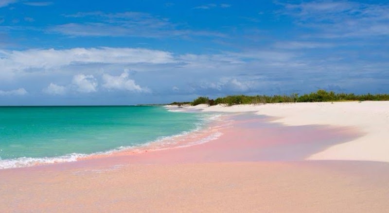 Pink Sand Beach in Codrington