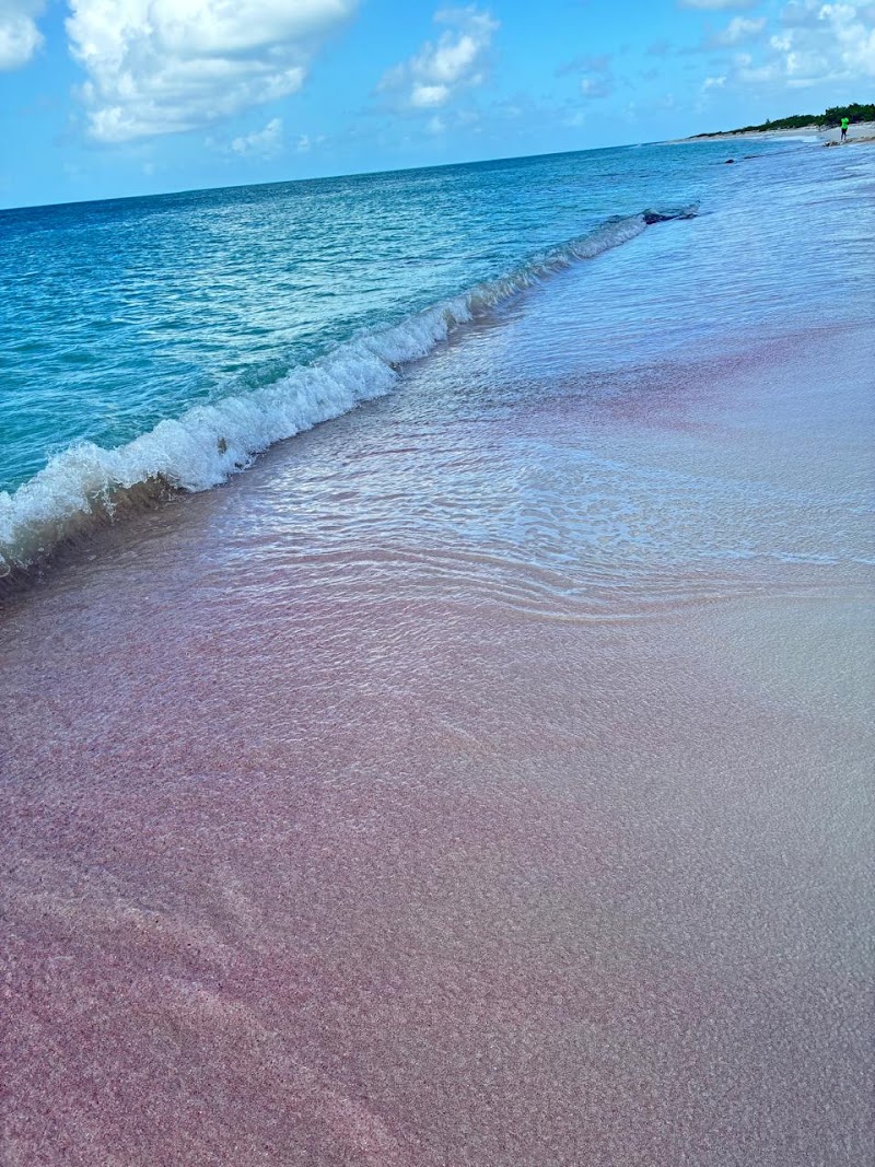 Photo 1 at Pink Sand Beach in Codrington