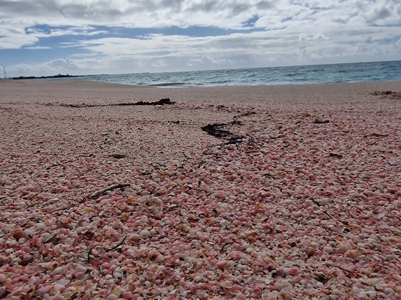 Photo 4 at Pink Sand Beach in Codrington