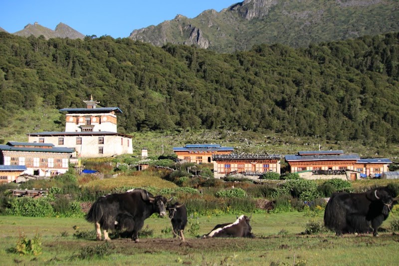 LUNANA VILLAGE in Thanza