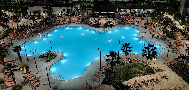 Photo 2 at Universal Endless Summer Resort – Surfside Inn and Suites in Orlando