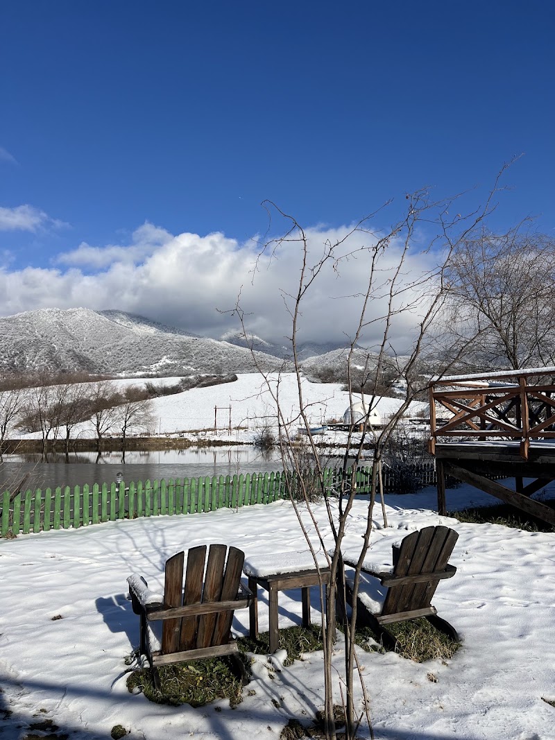 Photo 5 at Chadir yurd glamp,Ismayıllı in Ismailli