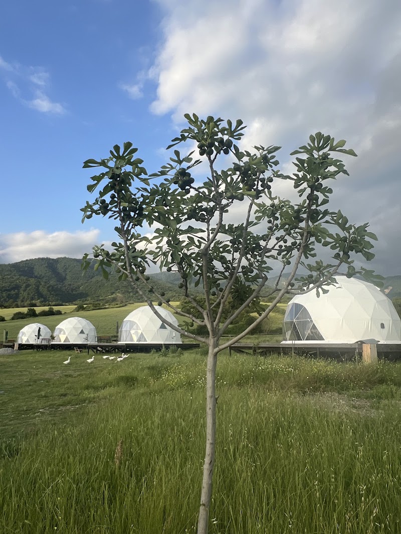 Photo 4 at Chadir yurd glamp,Ismayıllı in Ismailli