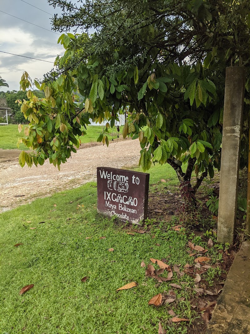 Photo 2 at IXCACAO Maya Belizean Chocolate in San Felipe