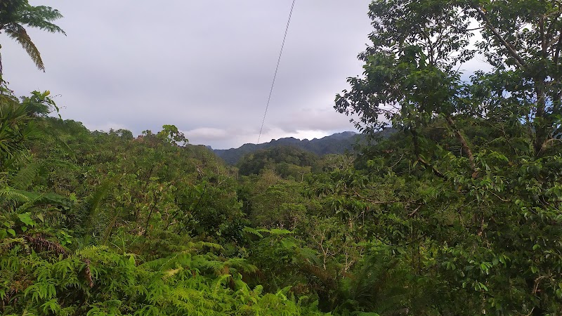 Photo 3 at KULA WILD ECO-ADVENTURE PARK in Nabukavesi