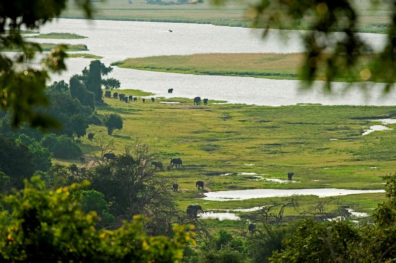 Photo 6 at Chobe Chilwero Lodge, an A&K Sanctuary in Kasane