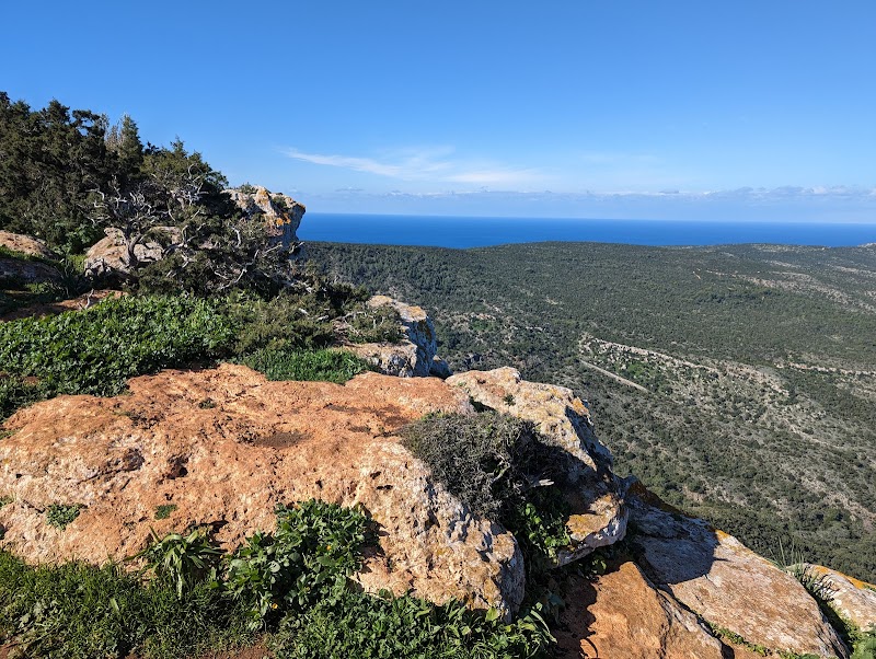 Photo 6 at Akama National Forest Park in Neo Chorio