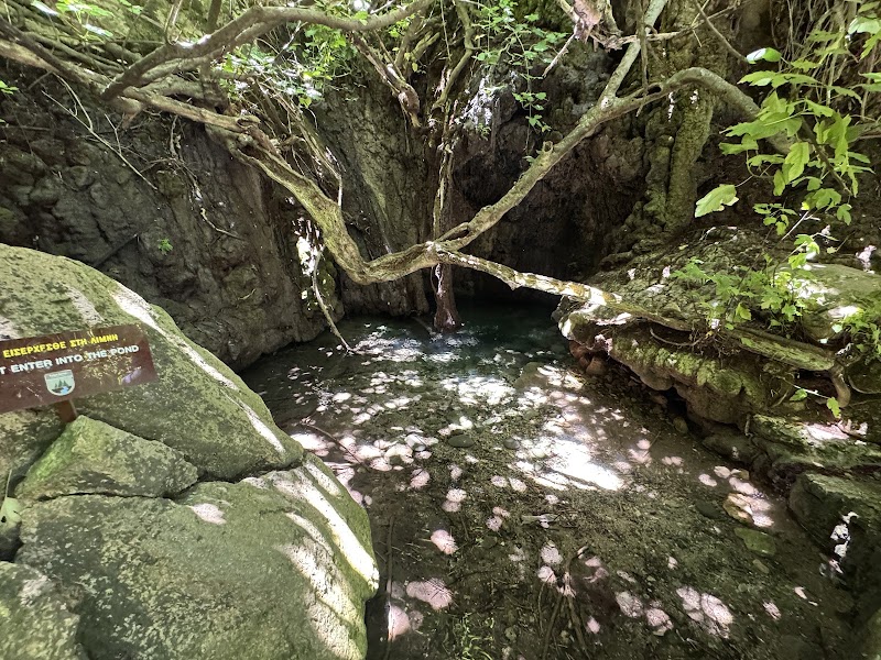 Photo 2 at Akama National Forest Park in Neo Chorio