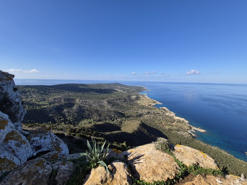 Akama National Forest Park in Neo Chorio