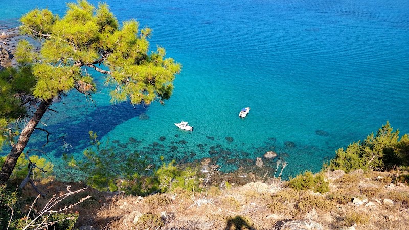 Photo 3 at Akama National Forest Park in Neo Chorio