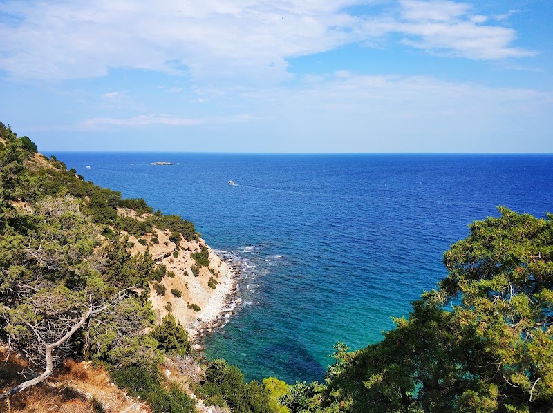 Photo 4 at Akama National Forest Park in Neo Chorio