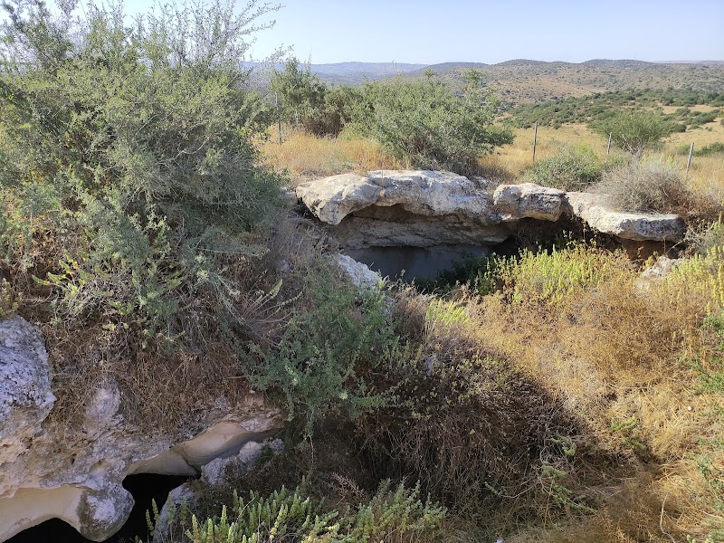Photo 2 at Maresha in 