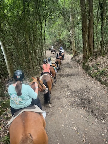 Photo 3 at Glenworth Valley Horse Riding in Glenworth Valley