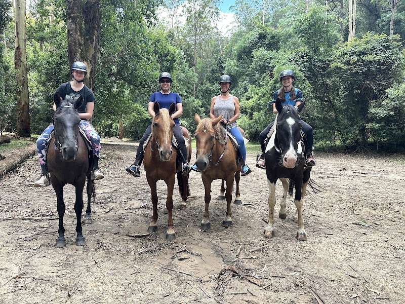Photo 2 at Glenworth Valley Horse Riding in Glenworth Valley