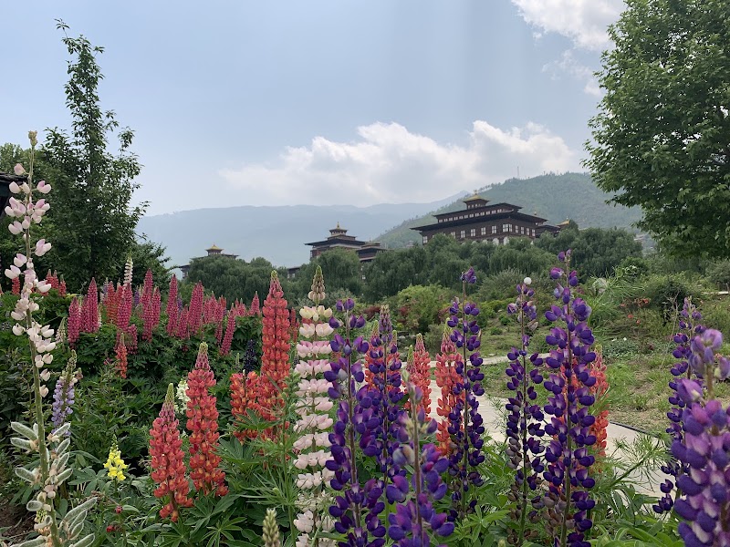 Photo 3 at Ludrong Memorial Garden in ཐིམ་ཕུུུུ