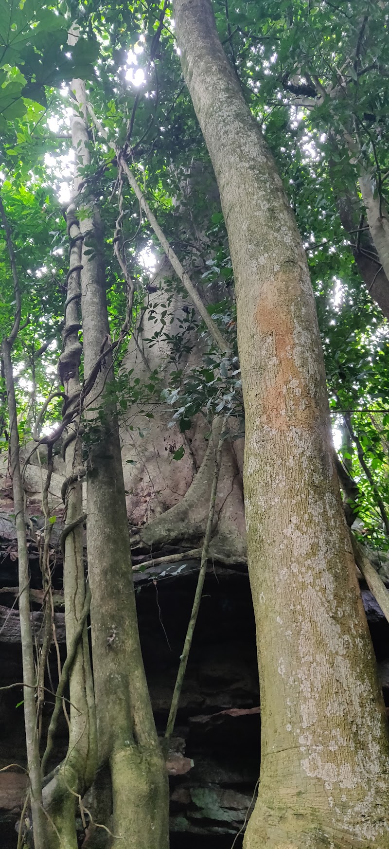 Photo 2 at Boti Waterfalls in Boti