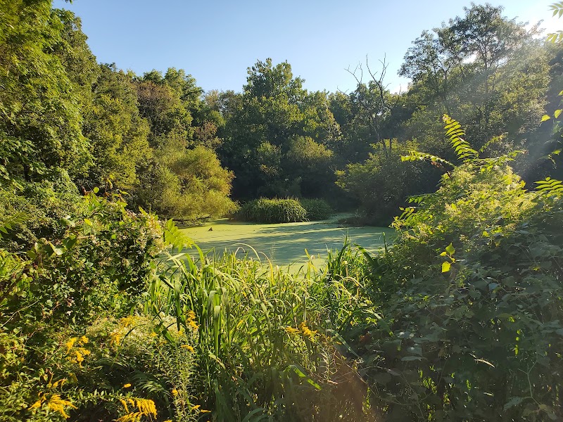 Photo 5 at Cave Spring Park in Kansas City