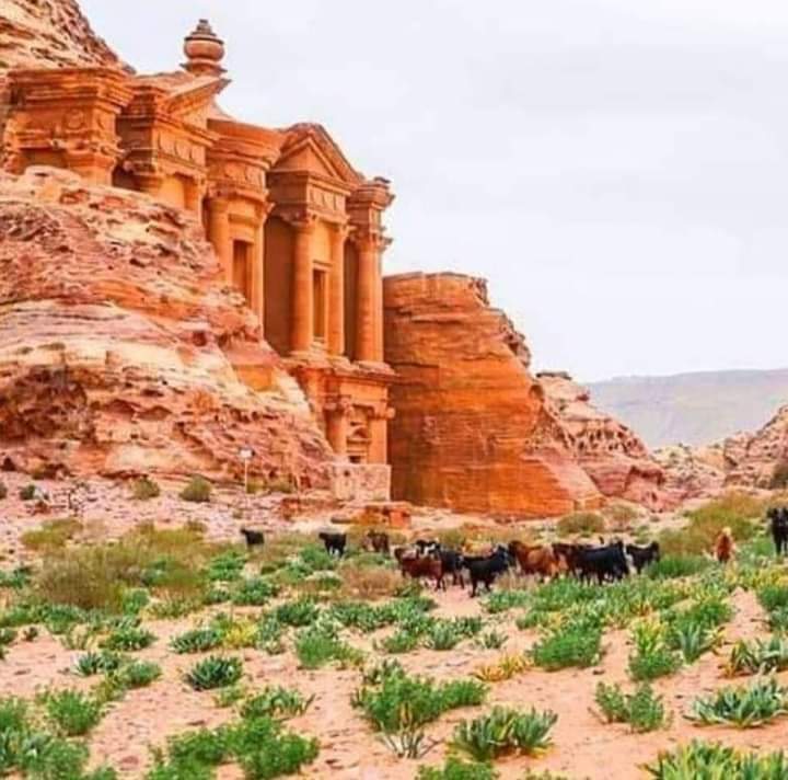 Photo 5 at Great Temple in Wadi Musa