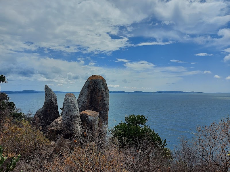 Photo 5 at Saanane National Park in Mwanza