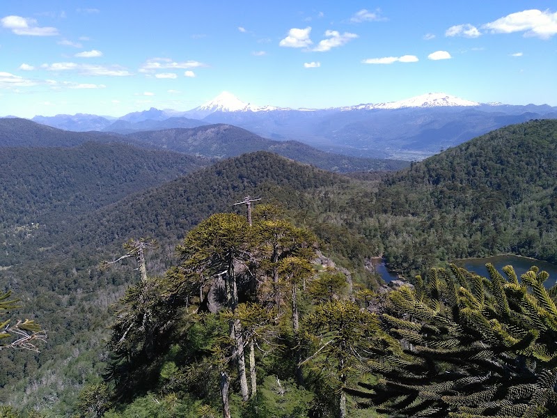 Photo 6 at Santuario El Cañi in Pucon