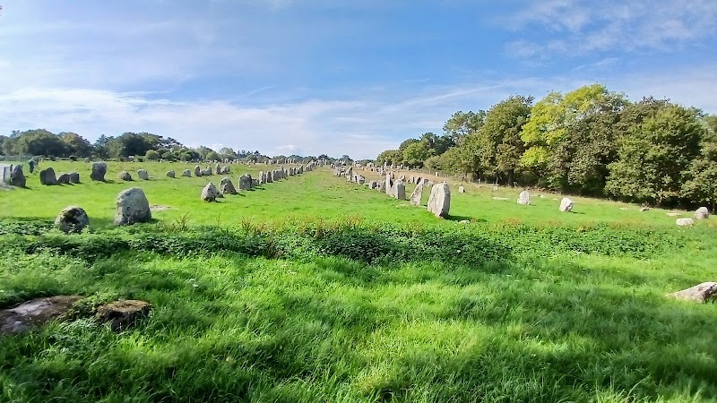 Photo 2 at Alignements of Carnac in Carnac