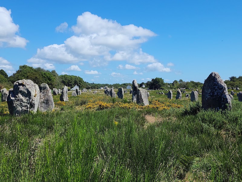 Alignements of Carnac in Carnac