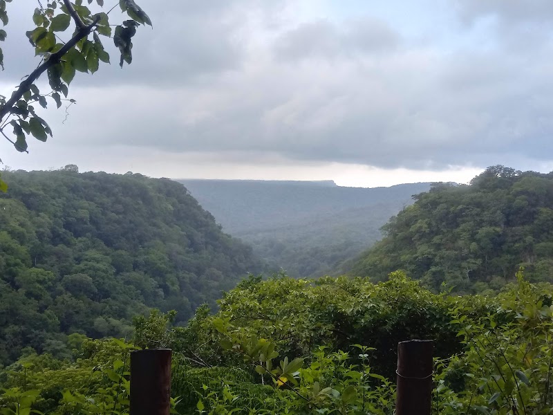 Área de Conservación Guanacaste in Hacienda Naranjo