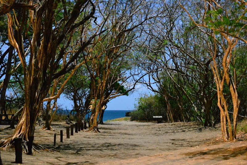 Photo 3 at Área de Conservación Guanacaste in Hacienda Naranjo