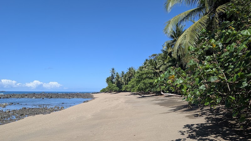 Photo 1 at Corcovado National Park in 