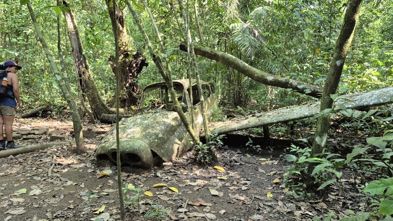 Photo 4 at Corcovado National Park in 